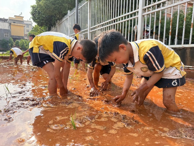 b0aeb3e35445943774fc43b440ff0715.jpg b0aeb3e35445943774fc43b440ff0715.jpg