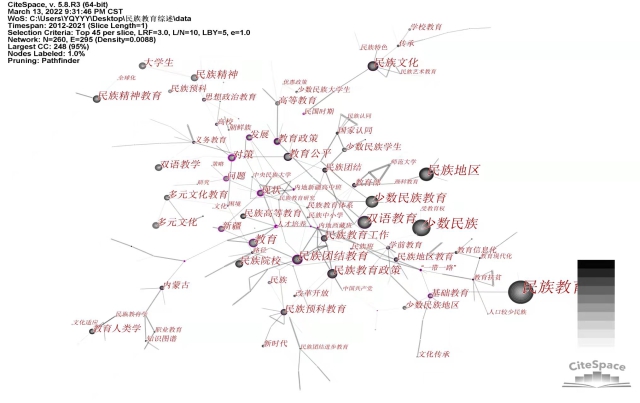 p19 圖2 民族教育研究共現網絡圖譜（2012-2021）.jpg