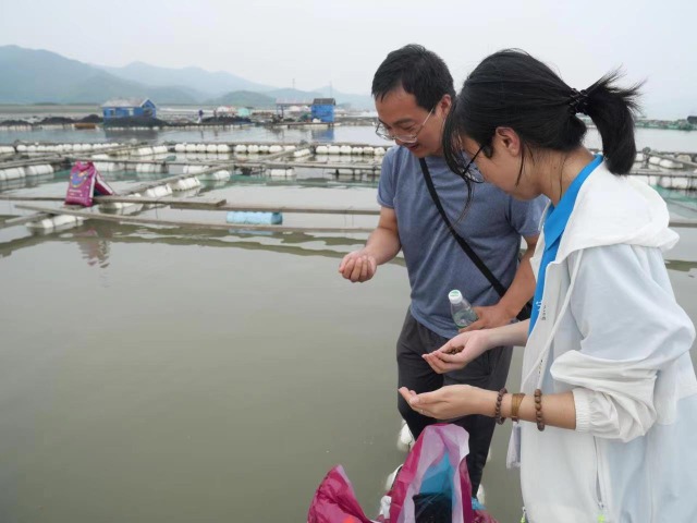 寧波大學海洋學院深耕黃金海岸隊調研考察大黃魚人工養殖情況 學校供圖.jpg 寧波大學海洋學院深耕黃金海岸隊調研考察大黃魚人工養殖情況 學校供圖.jpg