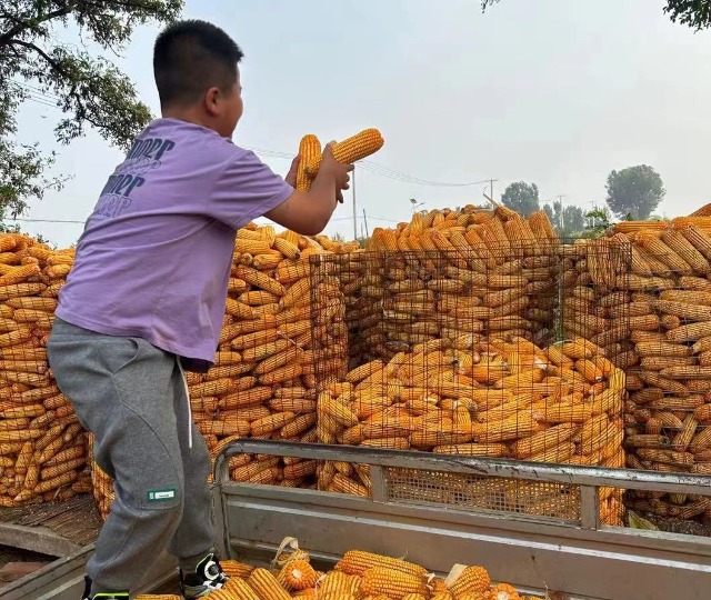 微信圖片_20231007092648.jpg 微信圖片_20231007092648.jpg