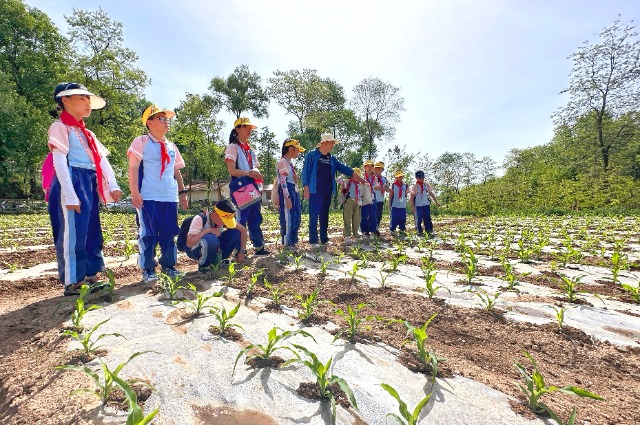 153c2608c7f21e8fa5f2a7a0f6923b5e.jpg 153c2608c7f21e8fa5f2a7a0f6923b5e.jpg