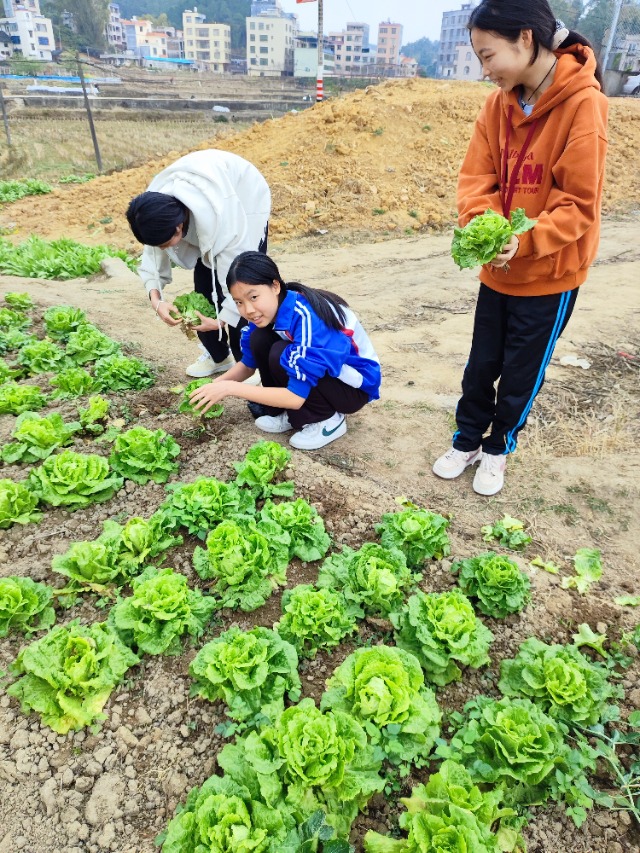 微信圖片_20250303082944.jpg 微信圖片_20250303082944.jpg